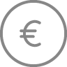 Euro Icon