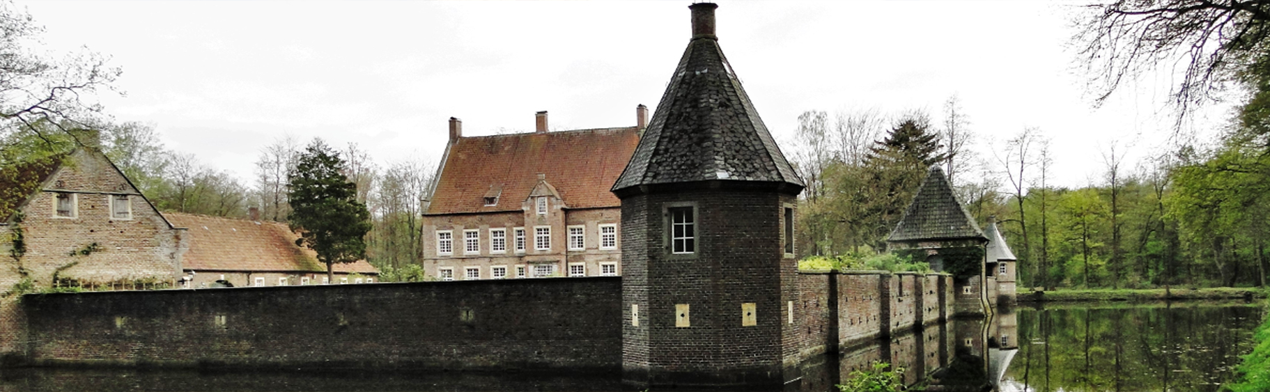 slider image 3