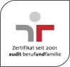 Logo audit